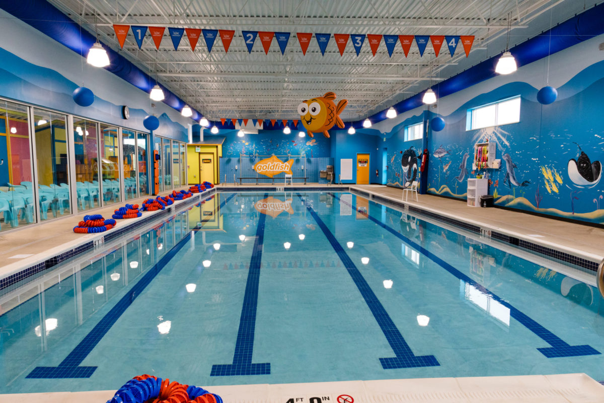 Goldfish Swim School 4
