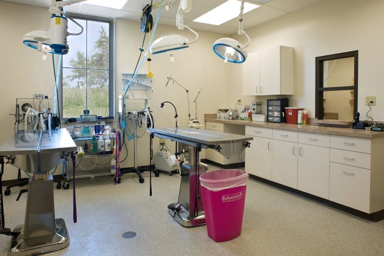 Petplex Animal Hospital 1